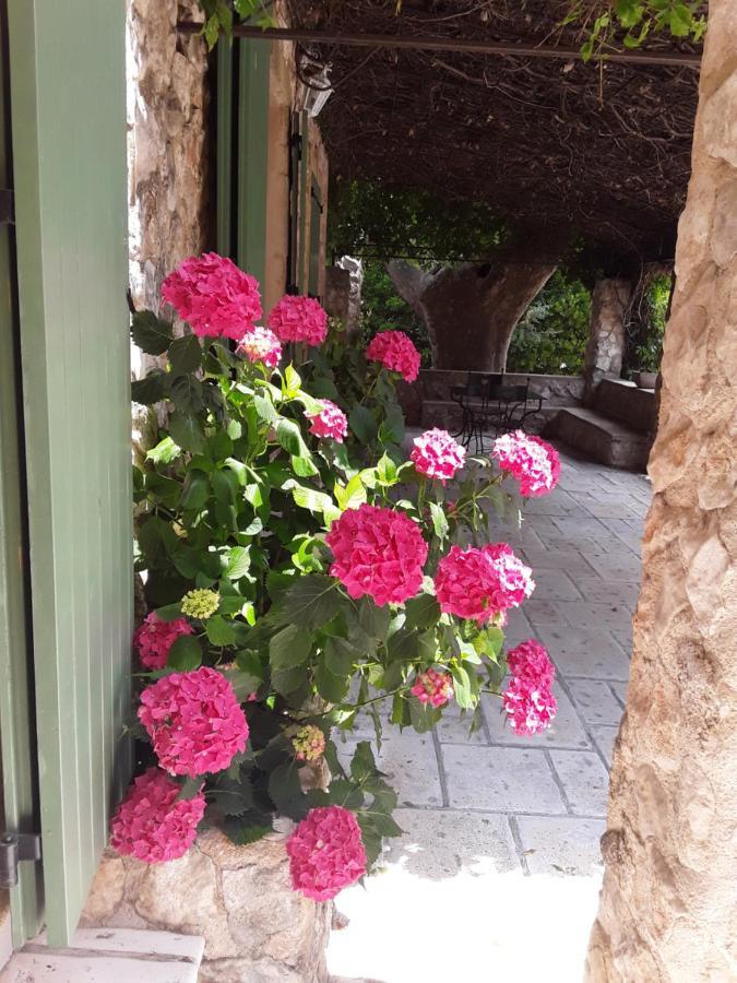 Mas De L'ile 3* Avignon